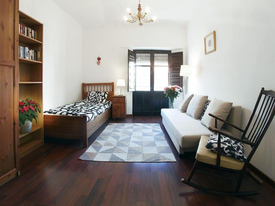 Vip House Rentals, Entire Apartment In Malaga Old Town エクステリア 写真
